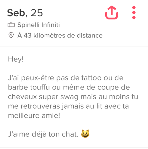 Exemple de description sur Tinder