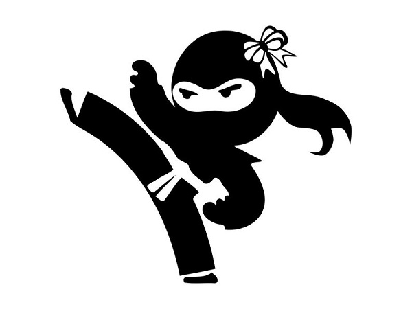 débloquer mode ninja adopte un mec